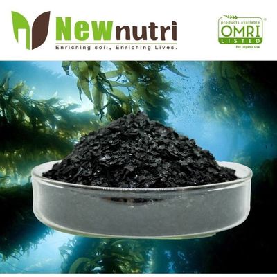PH8 Shiny Flakes 45% Organic Matter Soluble Seaweed Extract